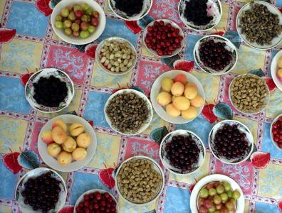 Dashtakhon, covered with plums, apricots, mulberries (both white and black) and cherries. Photo courtesy of Frederik van Oudenhoven.