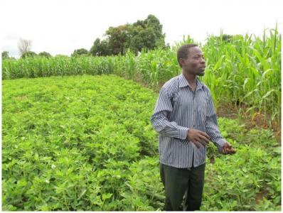 Photo of Ethiopian farmer, courtesy of SIMLESA