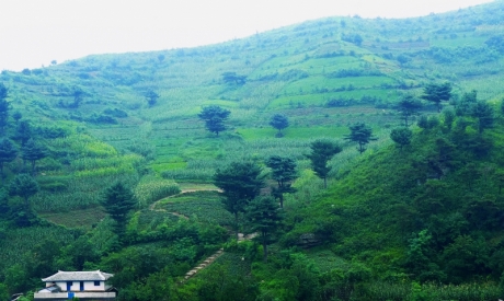 Agroforestry transformed landscape in the SDC project areas in Suan County. Photo by Bo Lager.