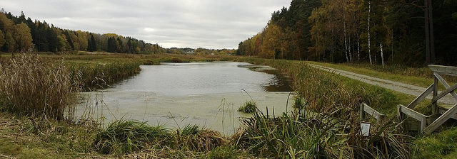 Photo Credit: Stockholm International Water Institute (SIWI)