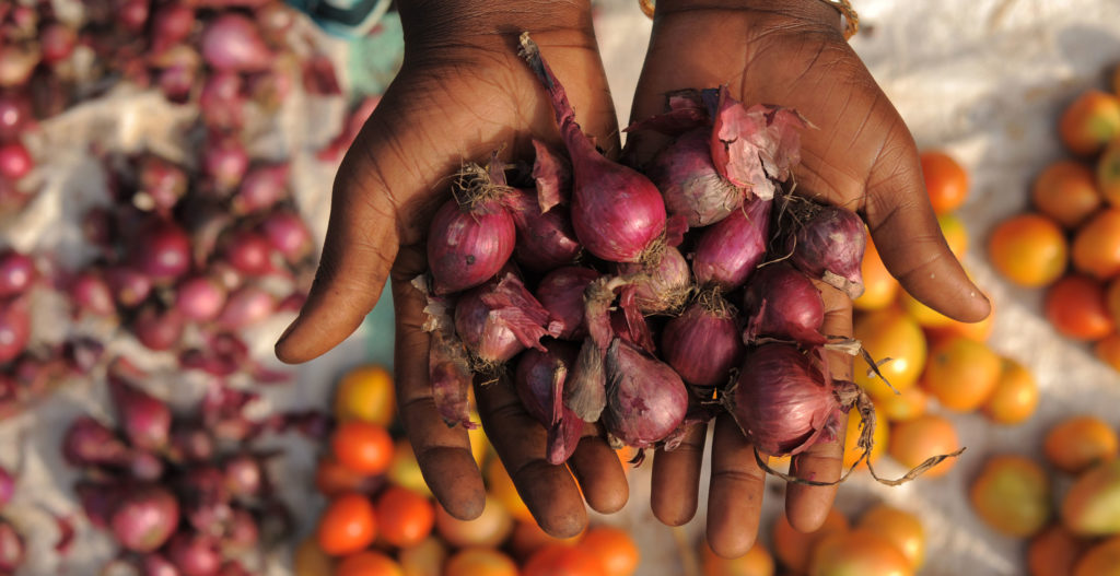 ©FAO/Daniel Hayduk