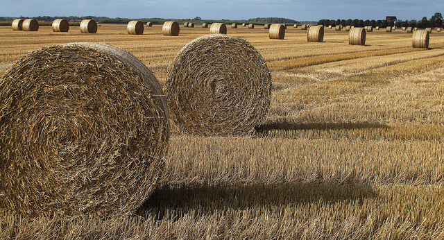 Photo: Barbro Björnemalm via Flickr CC BY-NC-SA 2.0