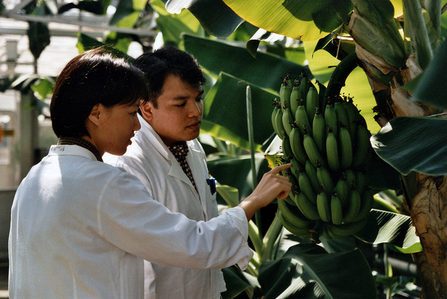 Photo Credit: Juanita Perez-Vargas/IAEA. Flickr Attr-ShareAlike 2.0 Generic