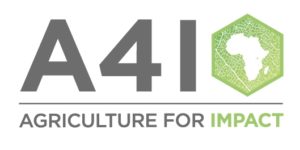 Agriculture for Impact (A4I) logo