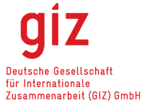 German Corporation for International Cooperation (GIZ) logo