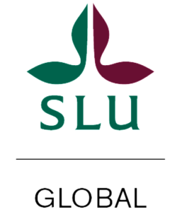 SLU Global logo