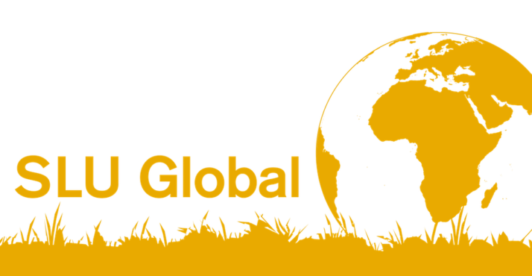 SLU Global logo