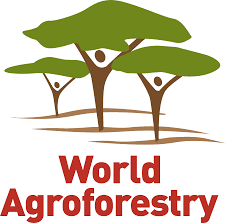 World Agroforestry Centre logo