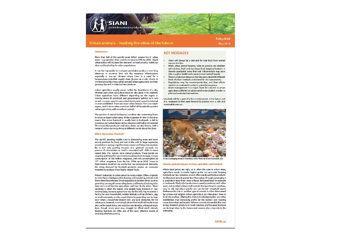 Urban animals – feeding the cities of the future Biology Diagrams