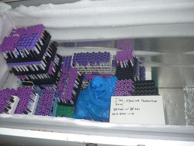Biobank samples inside a freezer. Photo: Evelyn Katingi