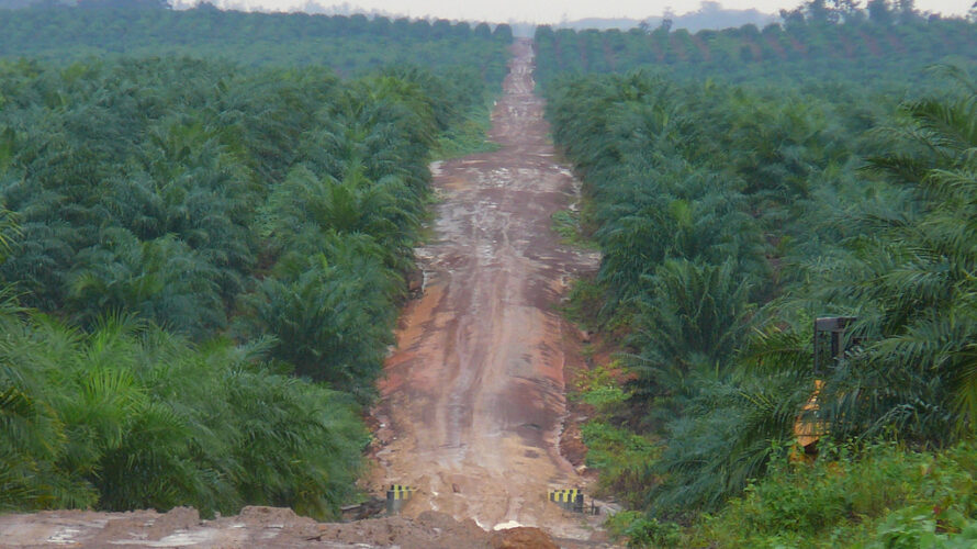 Photo credit: Rainforest Action Network