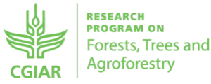 CGIAR Research Program on Forests, Trees and Agroforestry logo