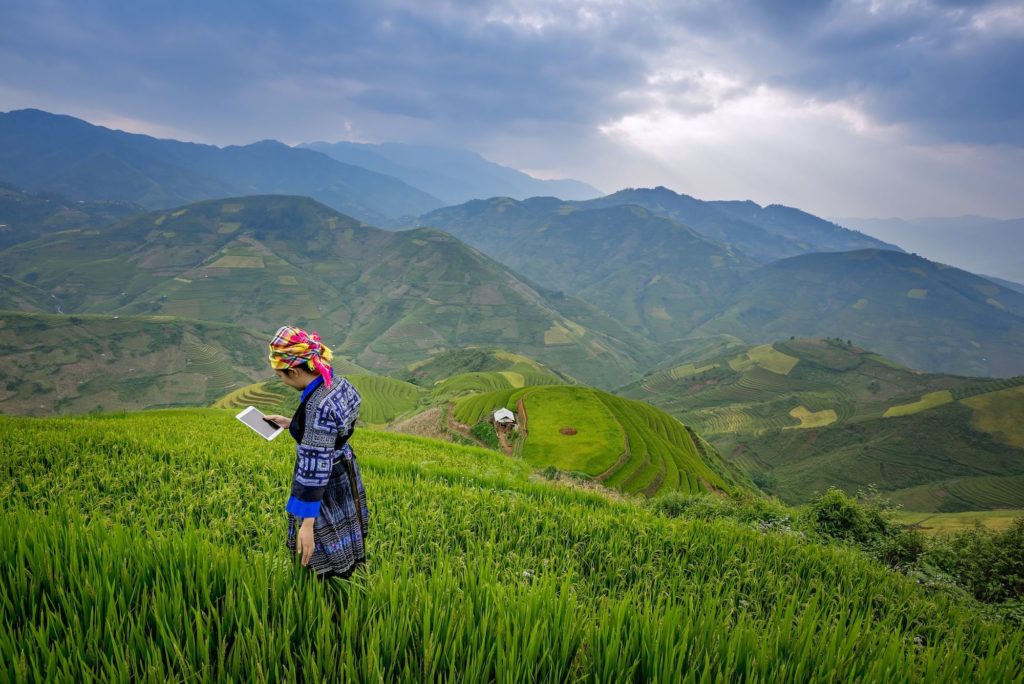 Youth farmer in Asia using digital tablet in the field.