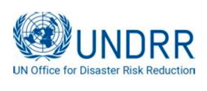 United Nations Office for Disaster Risk Reduction (UNDRR) logo