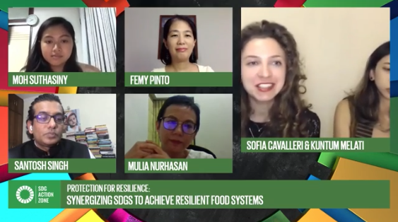 How can the SDGs be synergised to achieve resilient food systems?
