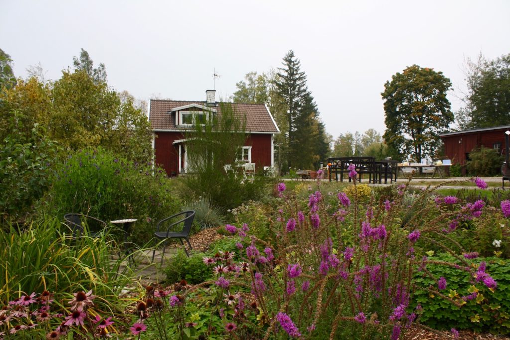 The flower and herb garden of Ann-Helen and Gunnar, with their house in the background