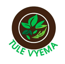 Tule Vyema logo
