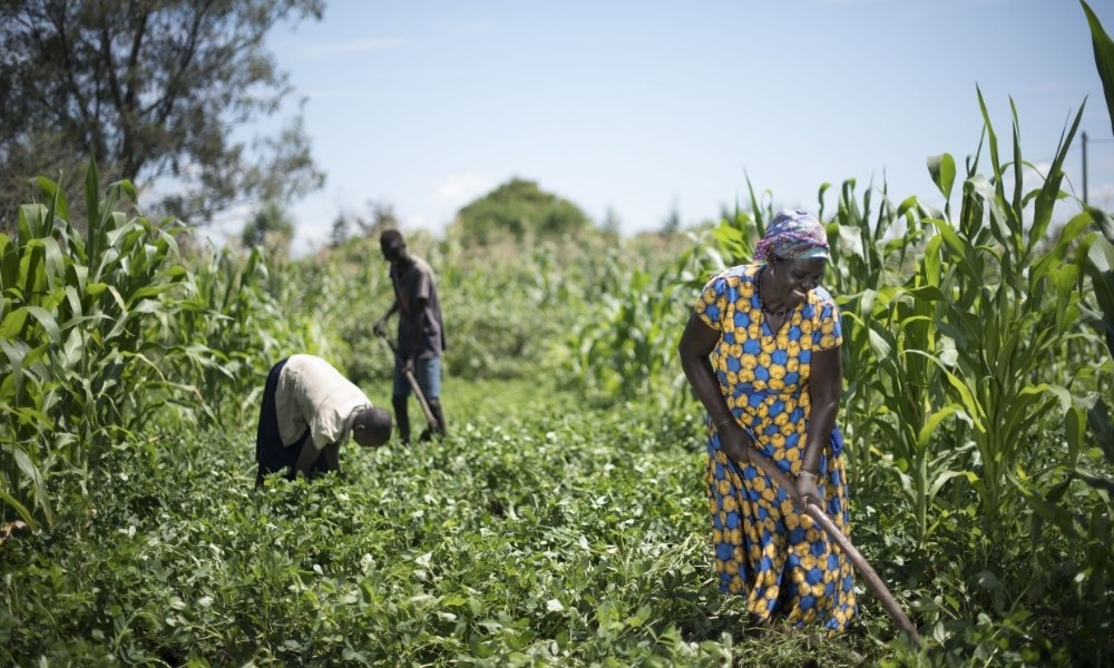 Rachael Akol, a maize farmer and WFP supplier from Namalu, Karamoja. In 2018,