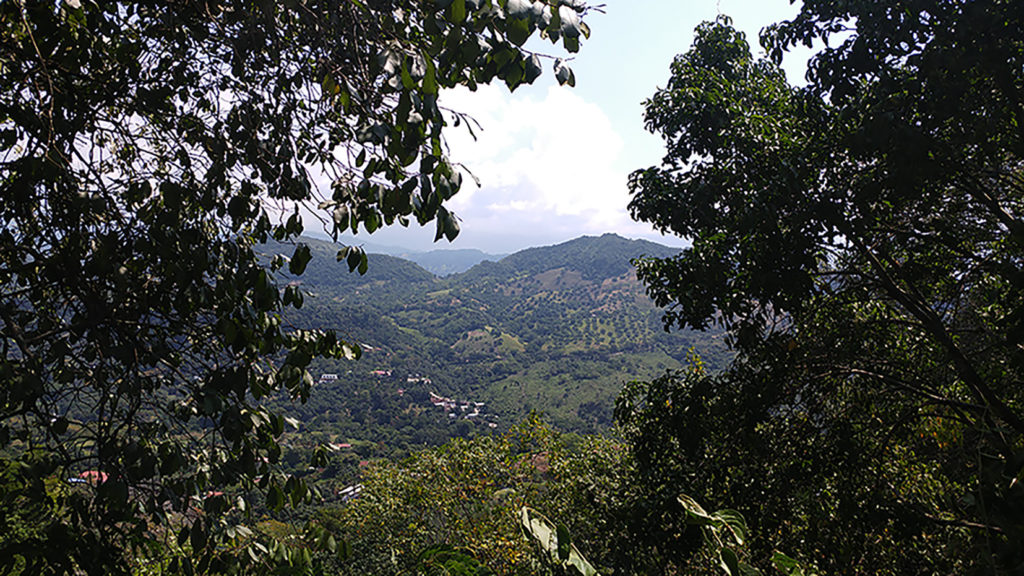 Landscape in Anapoima, Colombia by Jesica López