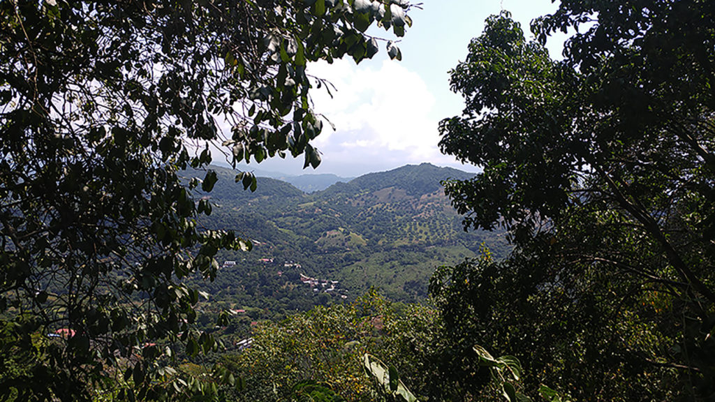 Landscape in Anapoima, Colombia by Jesica López 