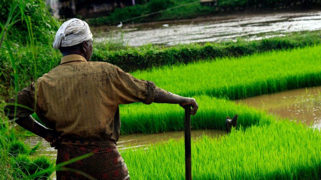 Farmer