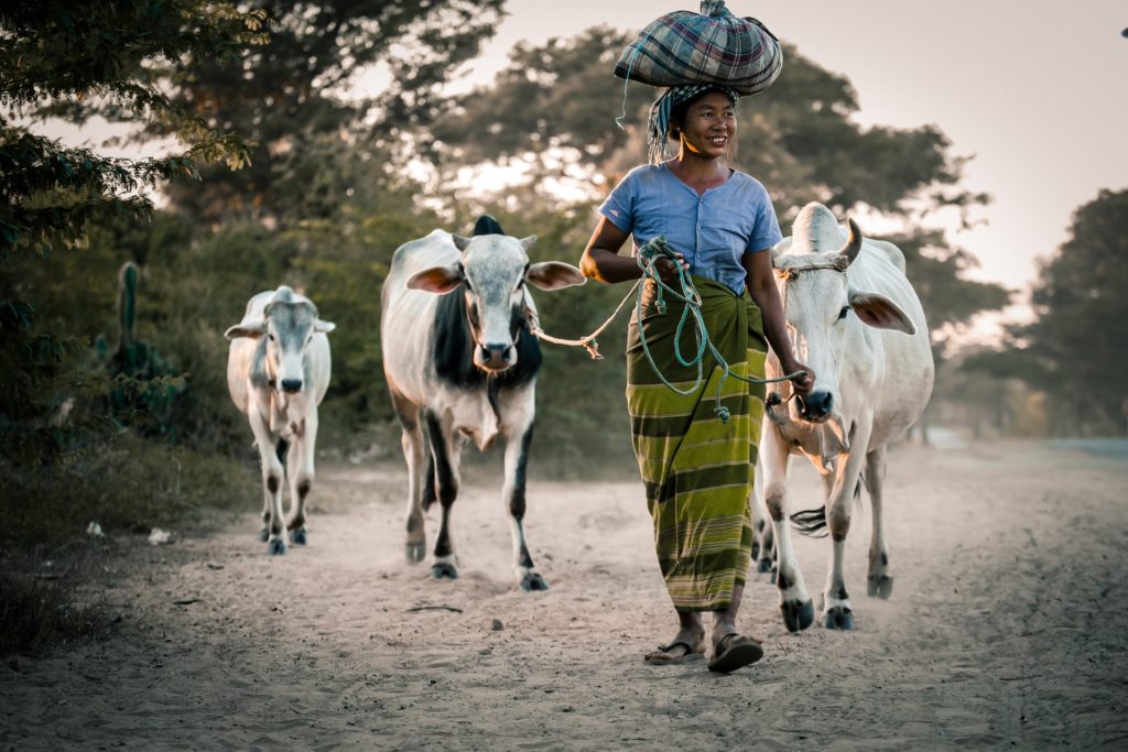 Photo by Sippakorn Yamkasikorn from Pexels