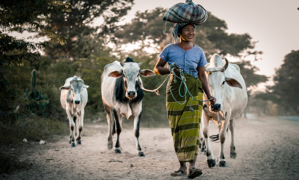 Photo by Sippakorn Yamkasikorn from Pexels