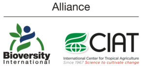 The Alliance of Bioversity International and CIAT logo