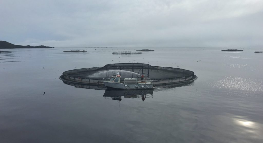 Salmon farm in Tasmania