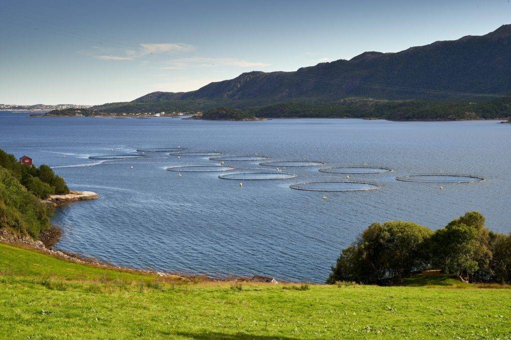 Salmon farming in Norway