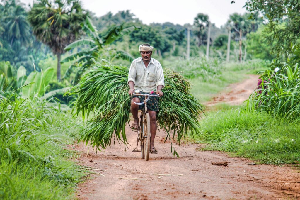 Farmer on bike.