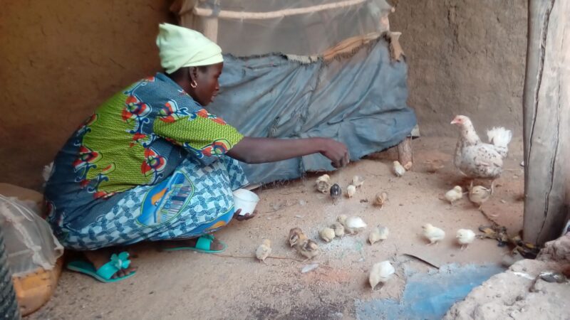 Farmer with chickens Burkina Faso