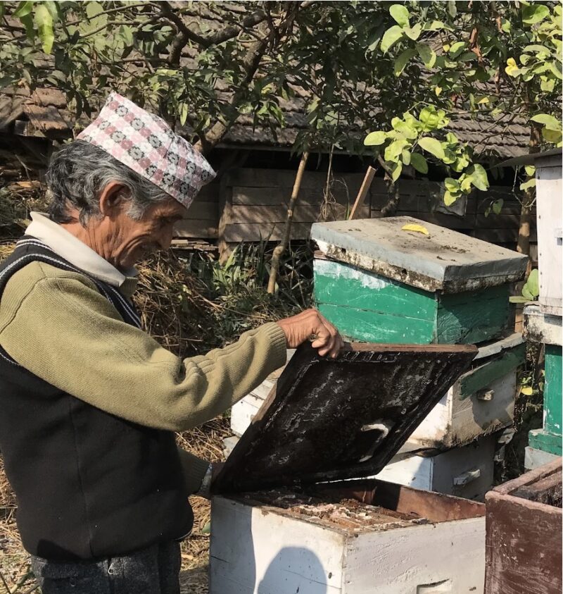 Beekeping Nepal