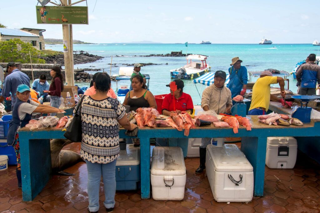 Fish harbour Galapagos, Ecuador