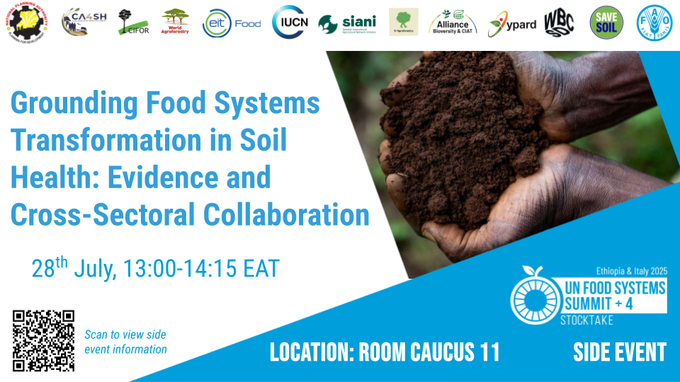Date: 28 July Time: 13:00 - 14:45 EAT Location: Room Caucus 11