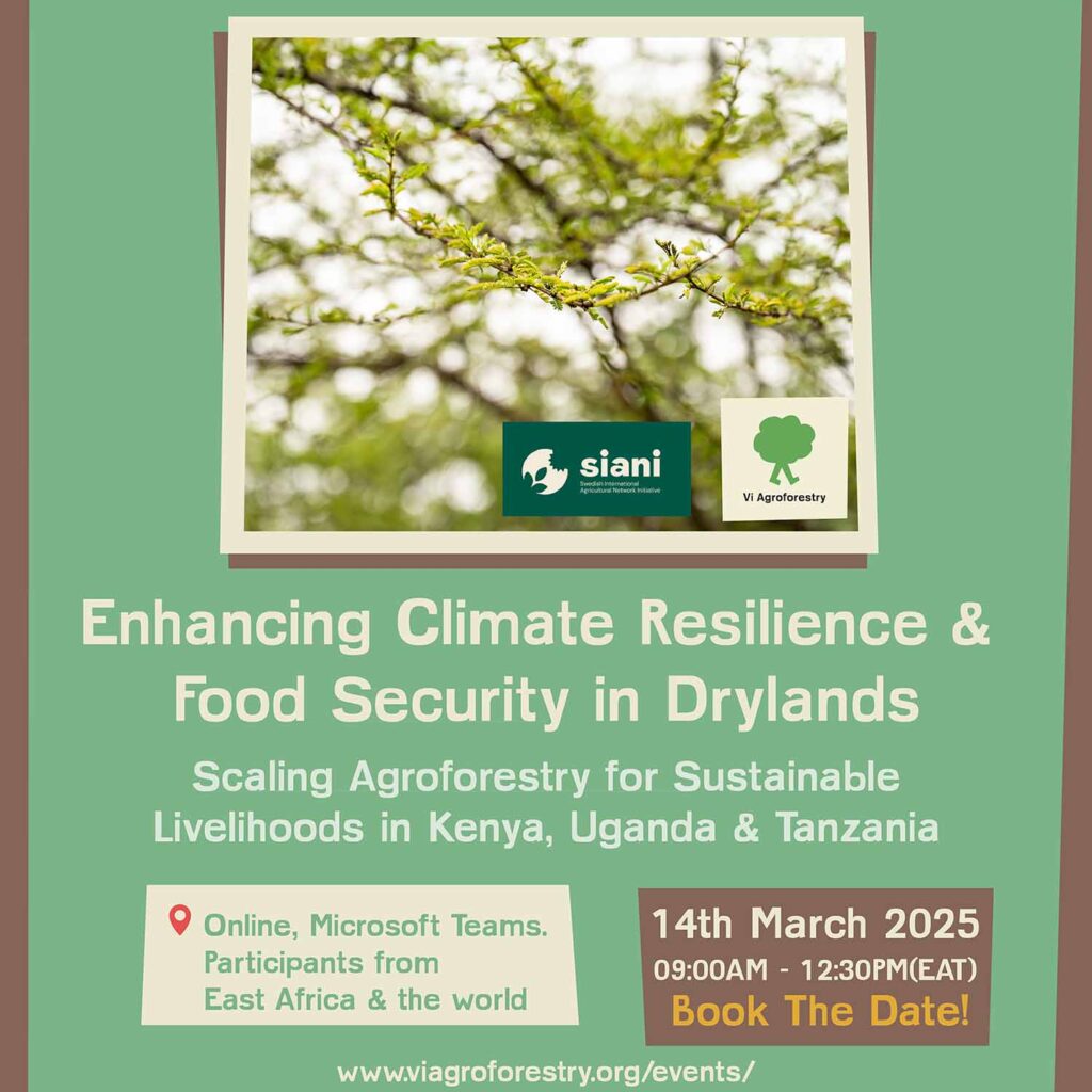 Vi Agroforestry poster