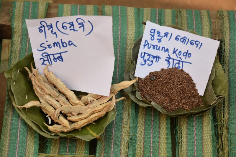 Southeast Asian spices
