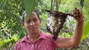 Beekeeper in the Monaragala district, Sri Lanka.