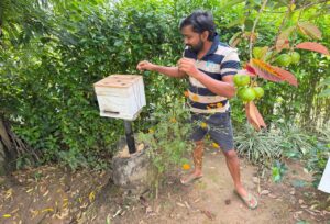 Beekeeper in the Badulla district.