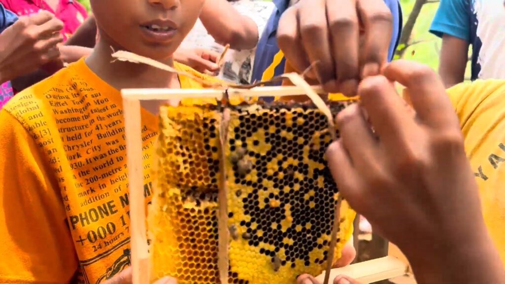 young beekeepers: a child holding a beehive section in front of another child