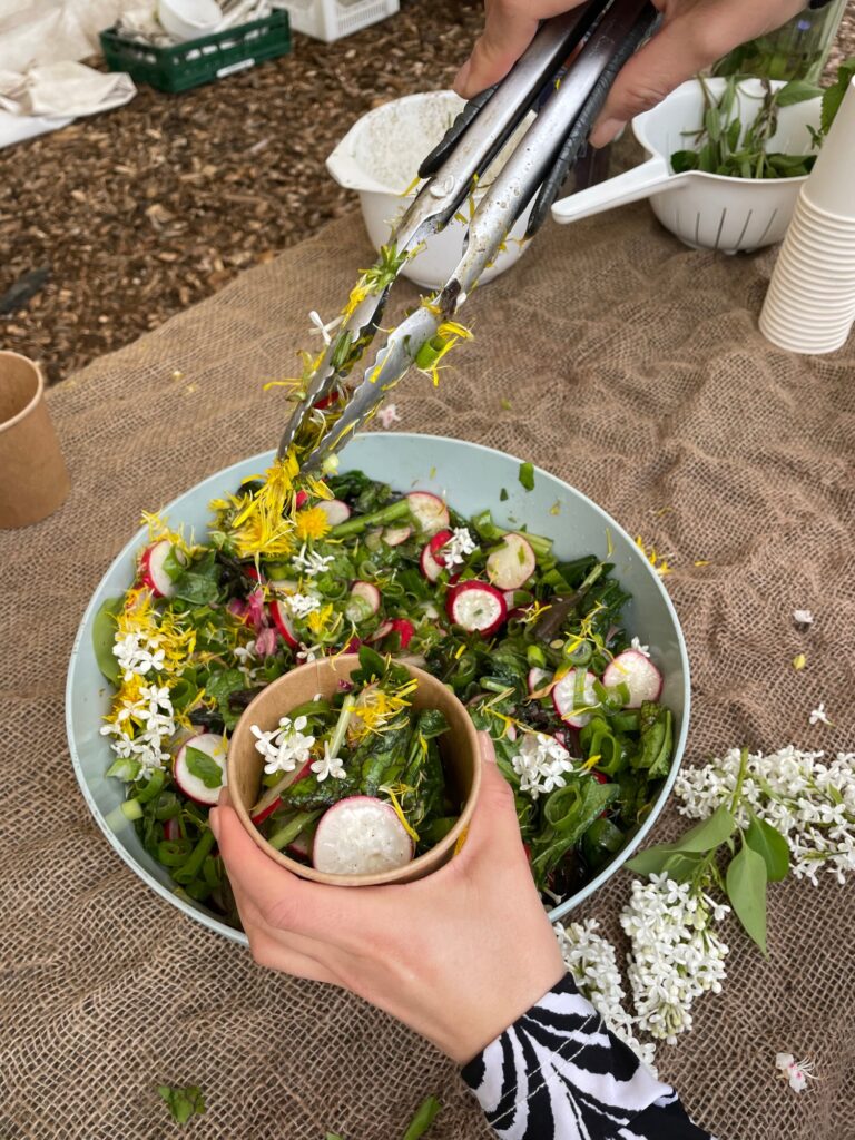 Green salad with edible flowers and radishes in a bowl being put in a serving cup with tongs