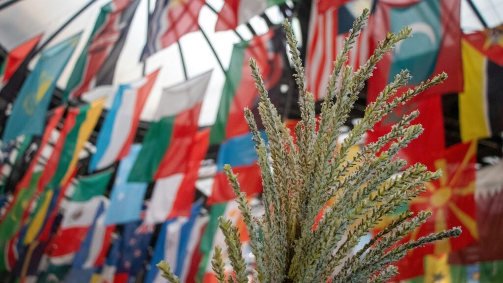 A ceiling covered in flags with a spring of grain in the foreground