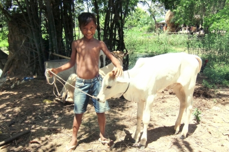 A boy with his calf in Cambodia. Photo by Kristina Osbjer.