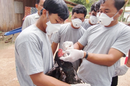 Sampling chicken. Photo by Kristina Osbjer.