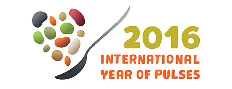 IYP2016 logotyp. Källa: http://www.fao.org/pulses-2016/en/